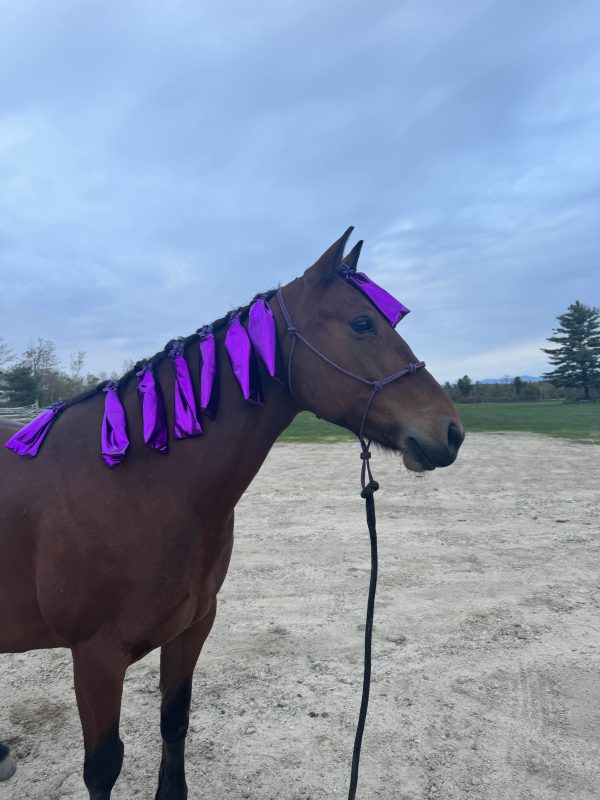 Purple Metallic Manebags - Image 2