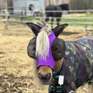 A Forelock Hole ADD ON