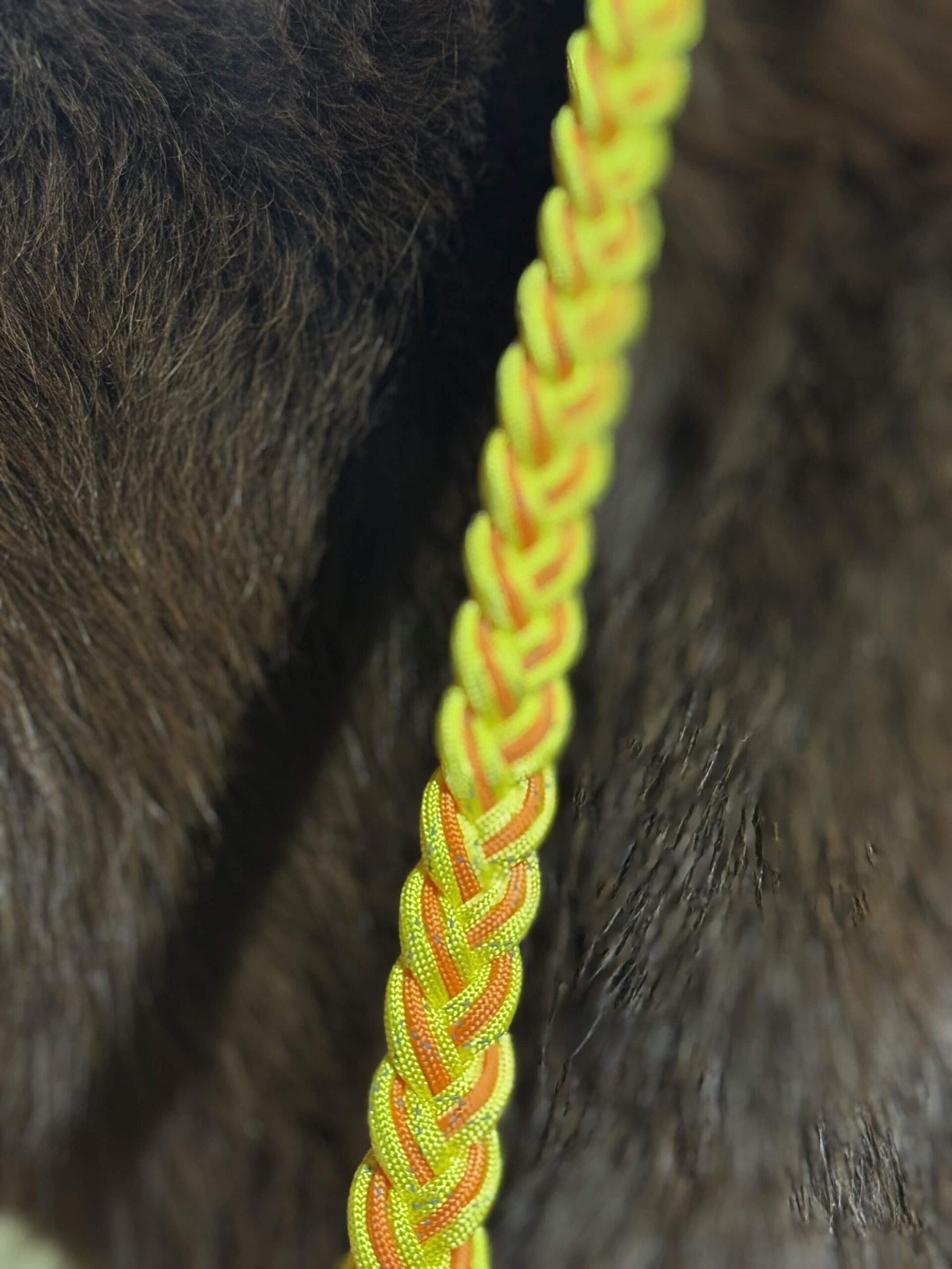 3 Strand Reflective Neck Rope YOY