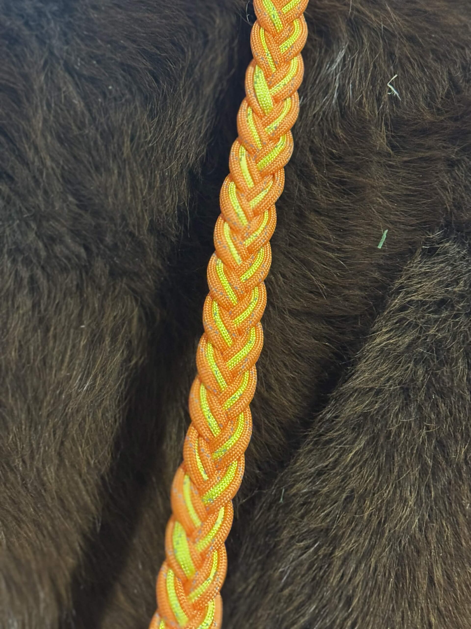 3 Strand Reflective Neck Rope OYO